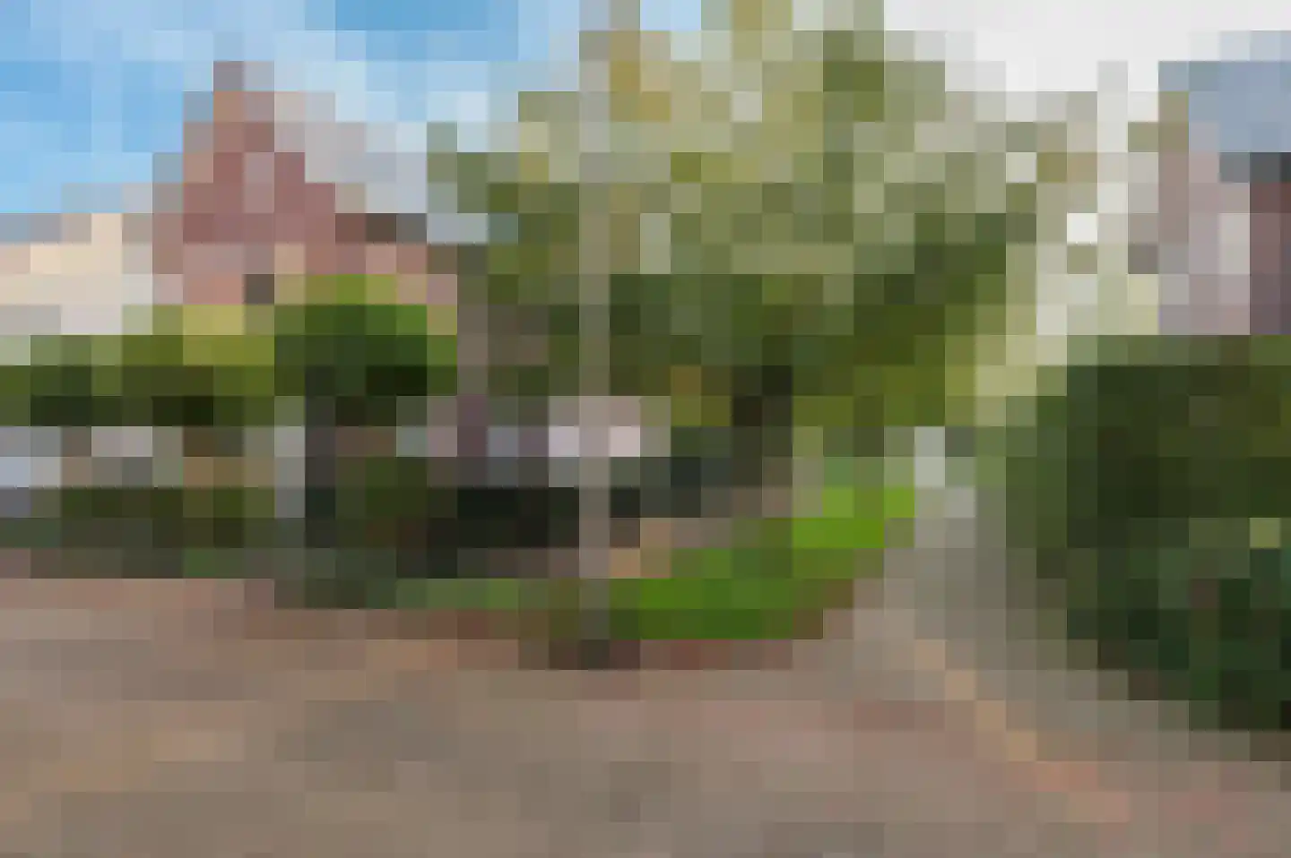 Steenbokstraat 13 Culemborg thumbnail 72
