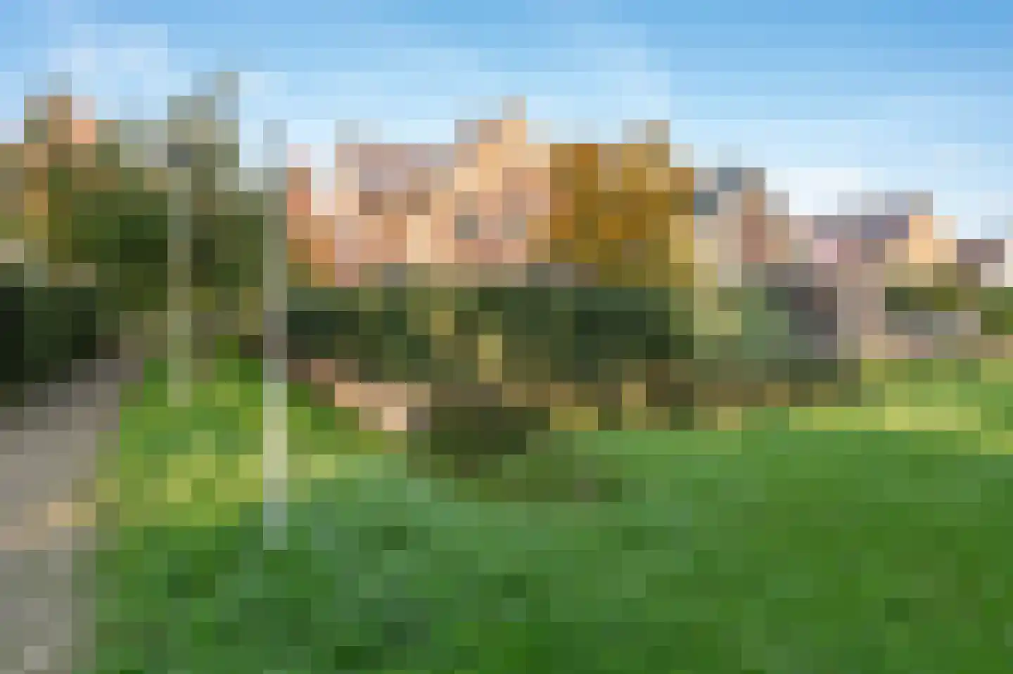 Steenbokstraat 13 Culemborg thumbnail 77