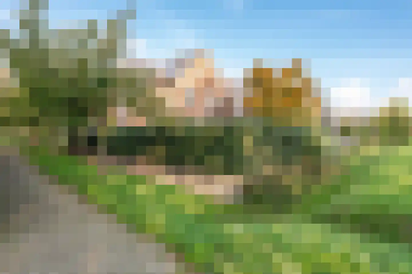 Steenbokstraat 13 Culemborg thumbnail 78