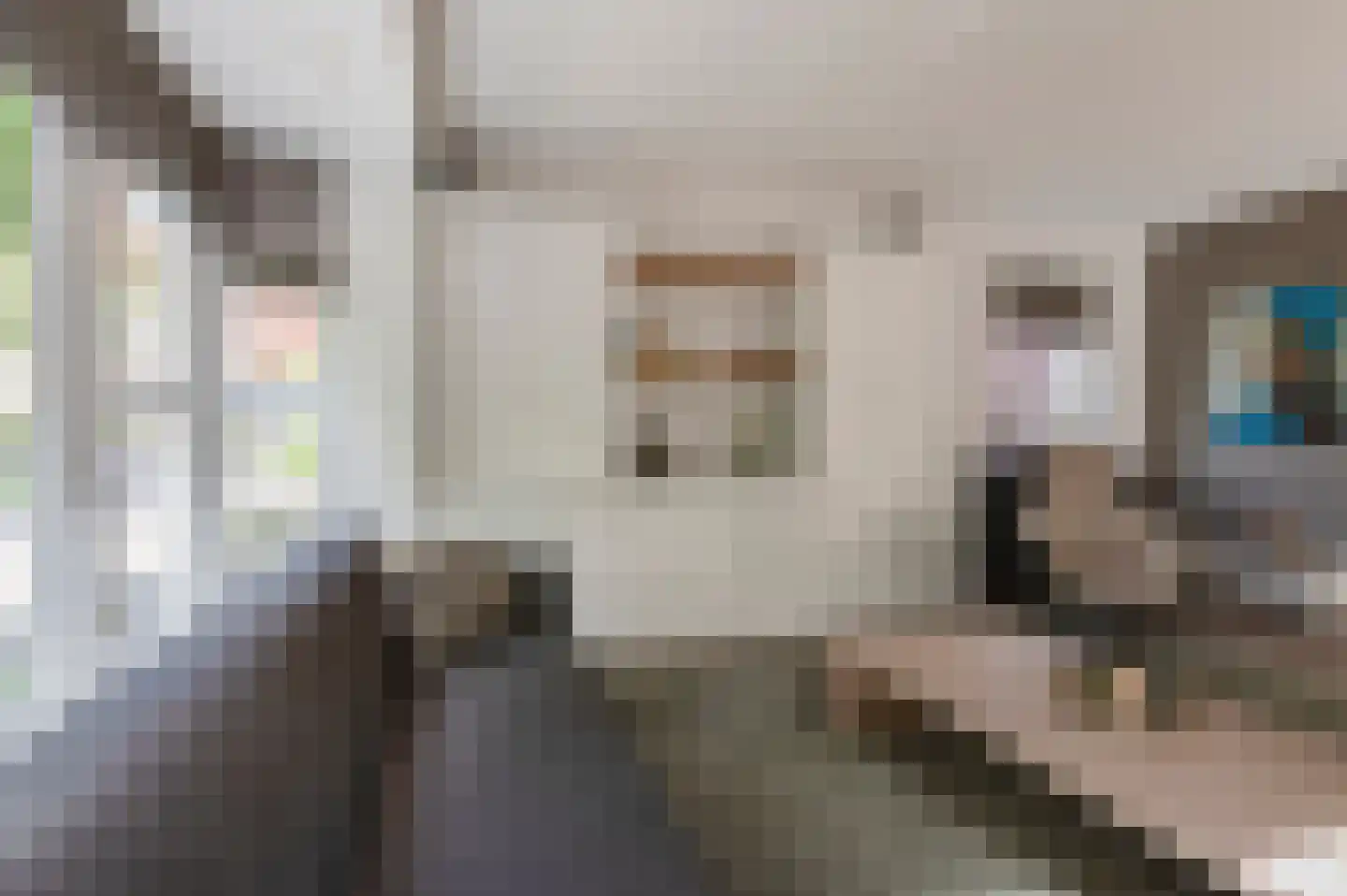 Steenbokstraat 13 Culemborg thumbnail 8