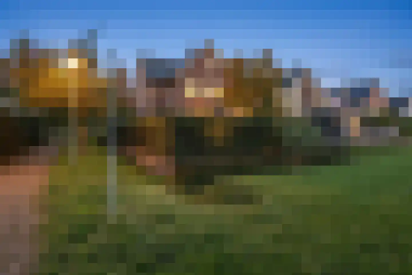 Steenbokstraat 13 Culemborg thumbnail 80