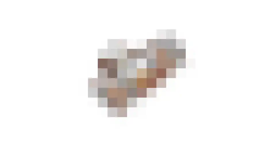 Steenbokstraat 13 Culemborg thumbnail 90