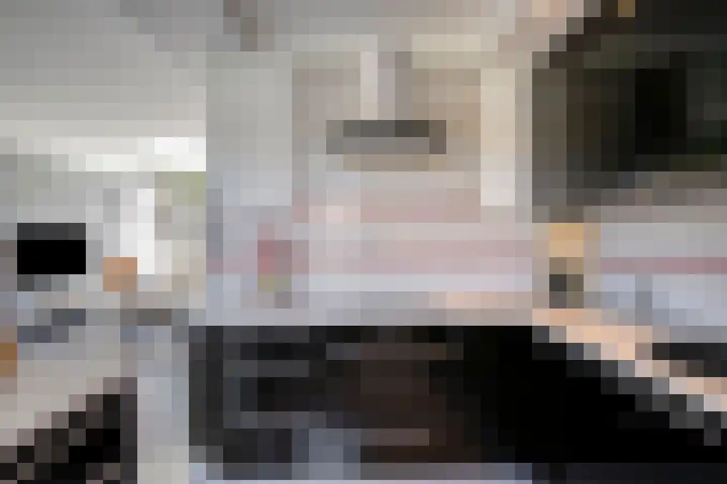 Steenbokstraat 14 Eindhoven thumbnail 10