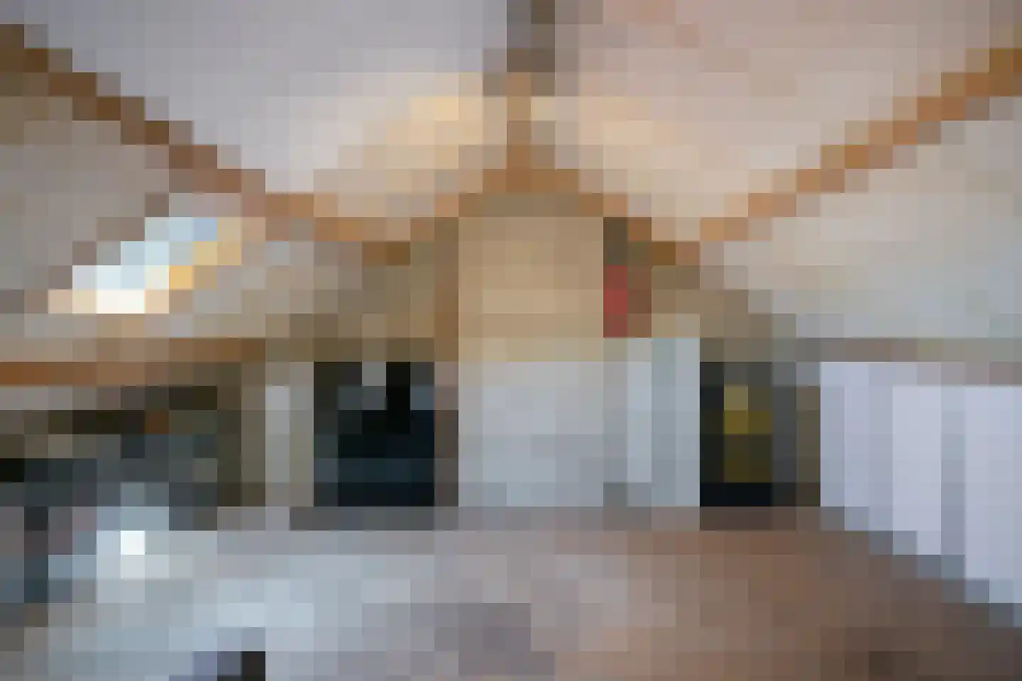 Steenbokstraat 14 Eindhoven thumbnail 22