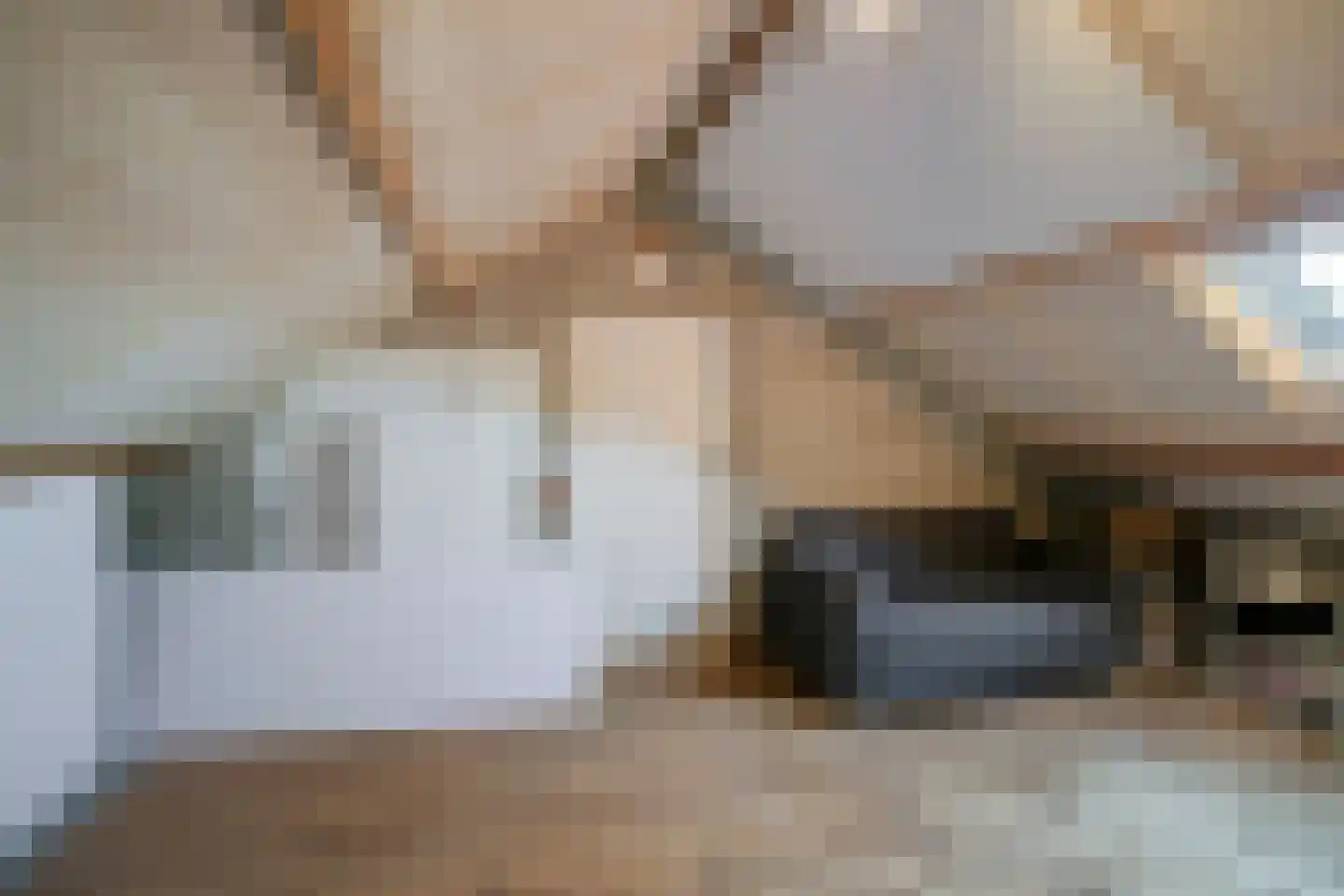 Steenbokstraat 14 Eindhoven thumbnail 23