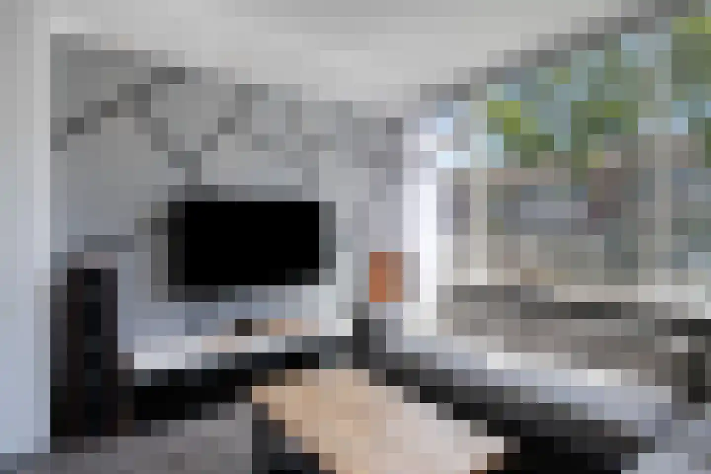 Steenbokstraat 14 Eindhoven thumbnail 4