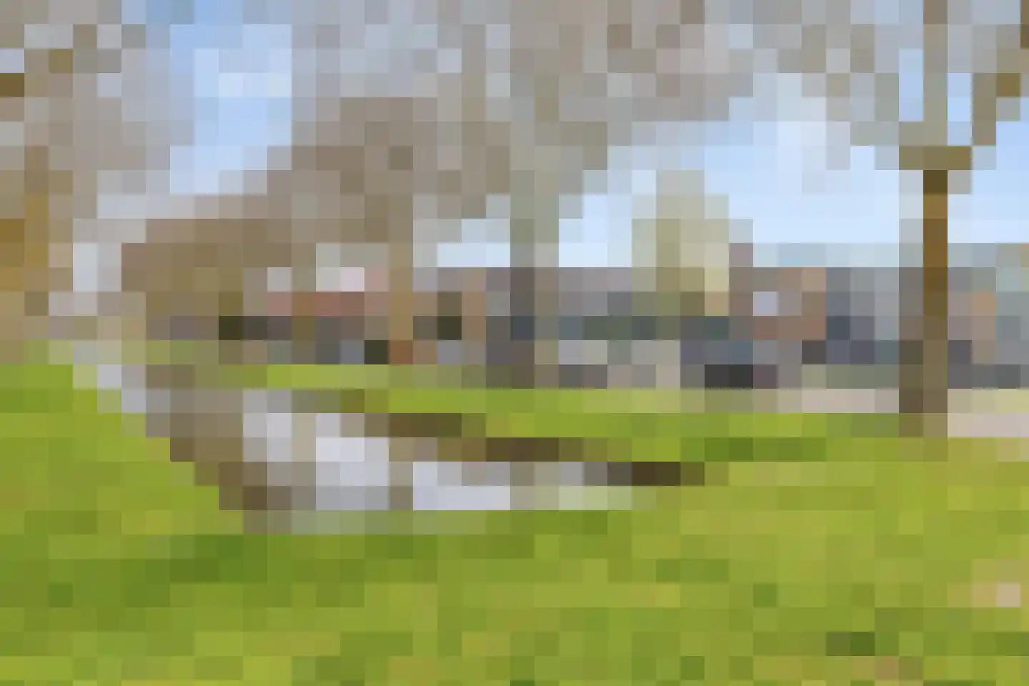 Steenbokstraat 32 L Zwijndrecht thumbnail 21