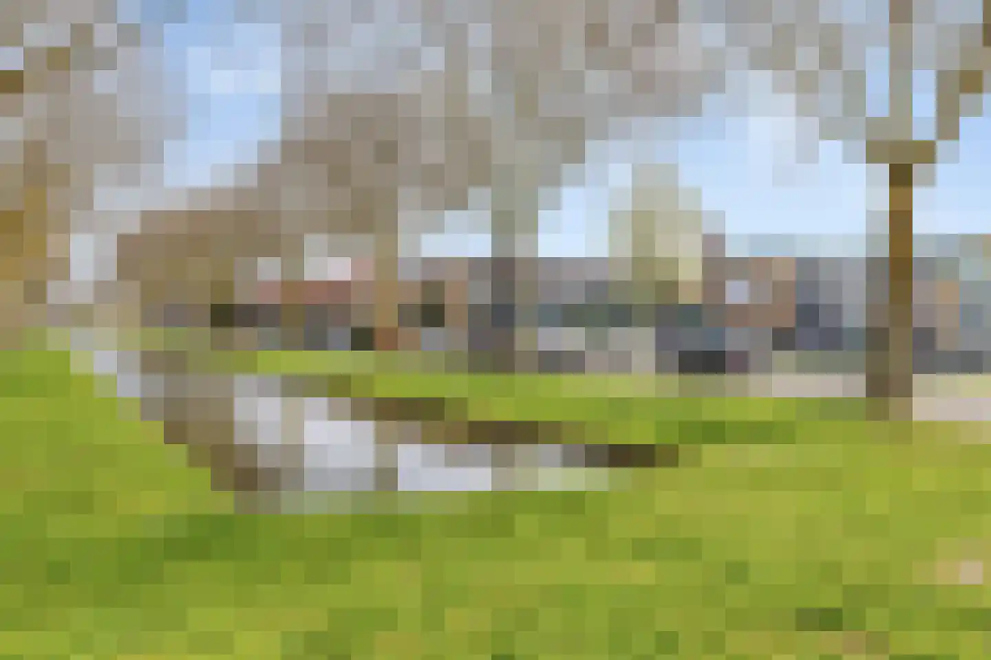 Steenbokstraat 32 L Zwijndrecht thumbnail 24