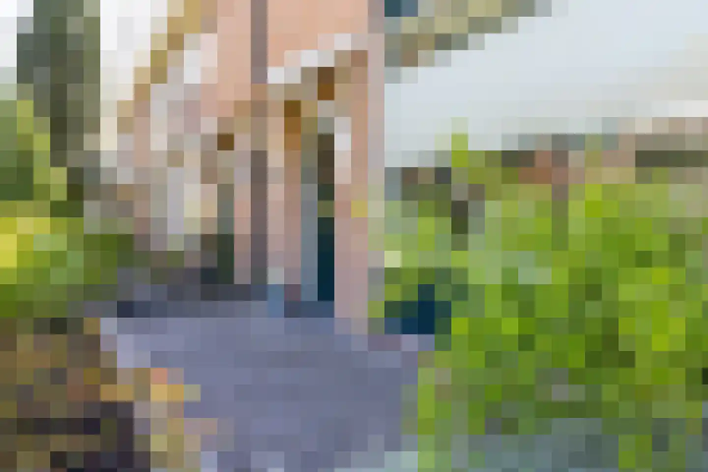 Steenbokstraat 40 Hengelo thumbnail 30