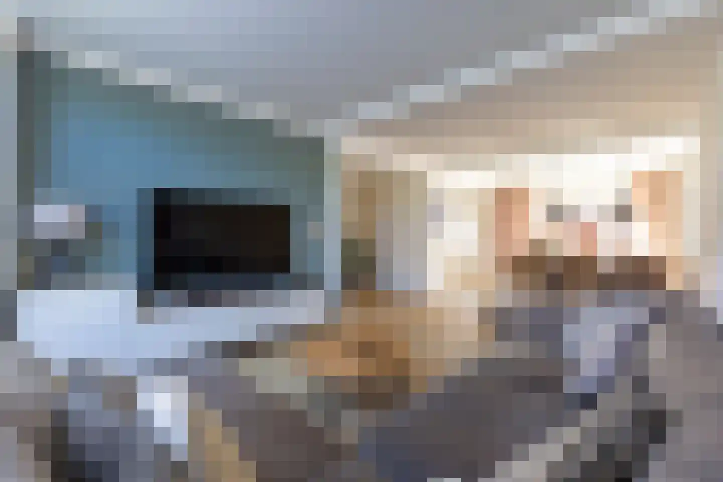 Steenbokstraat 40 Hengelo thumbnail 8