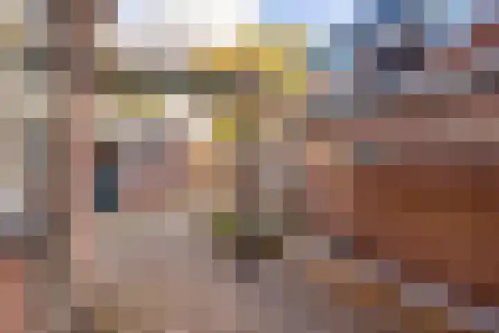 Steenbokstraat 52 Hengelo thumbnail 23