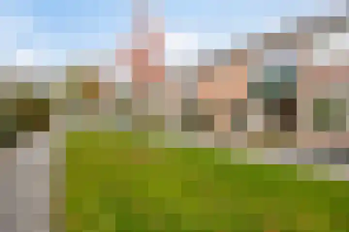 Steenbokstraat 52 Hengelo thumbnail 26