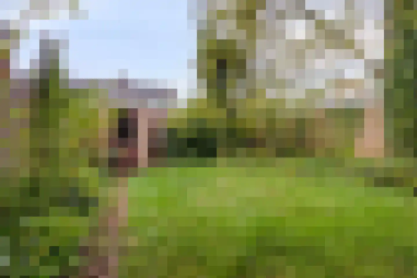 Steenbokstraat 58 Hengelo thumbnail 18