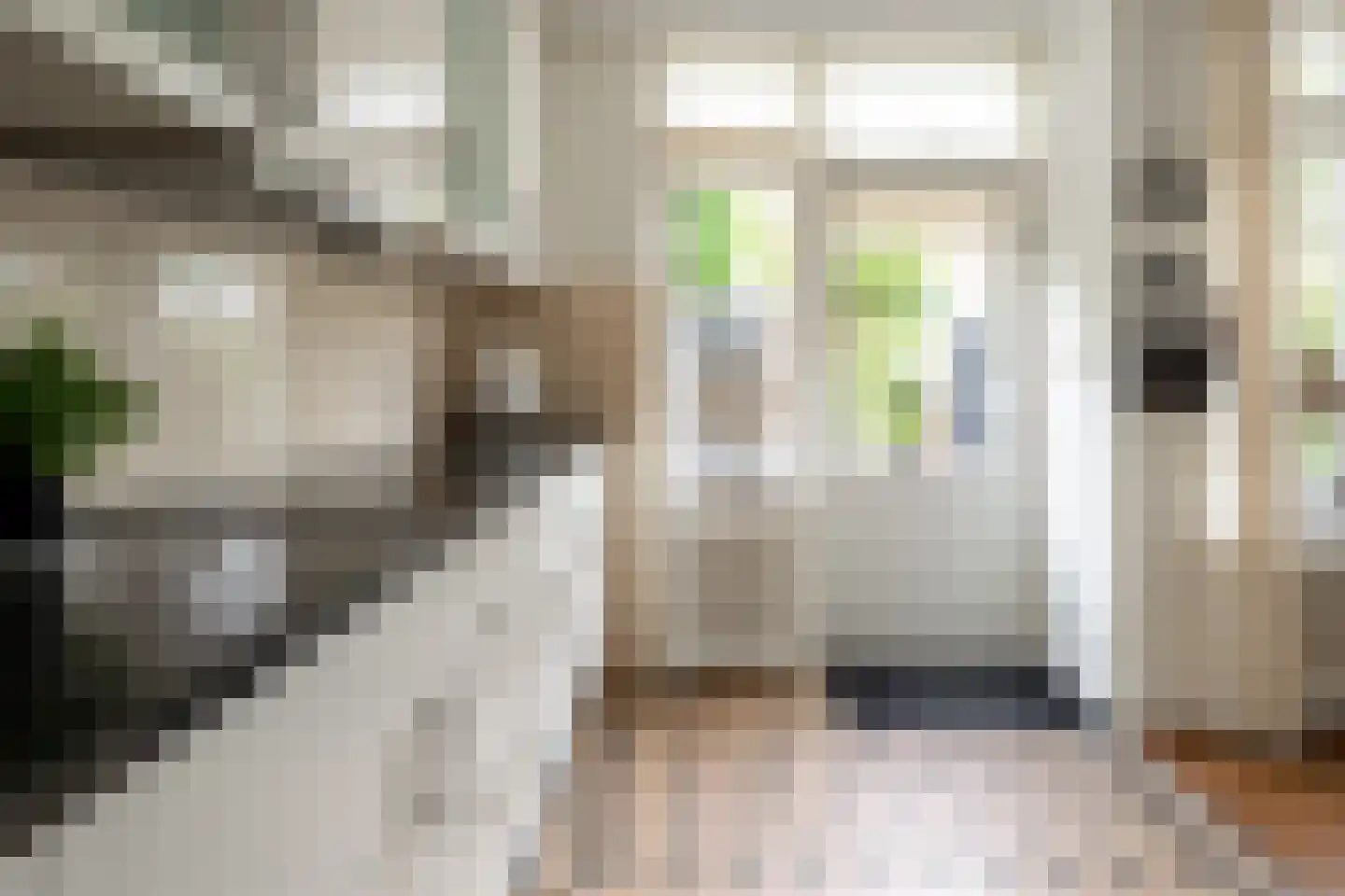 Steenbokstraat 64 Hengelo thumbnail 16