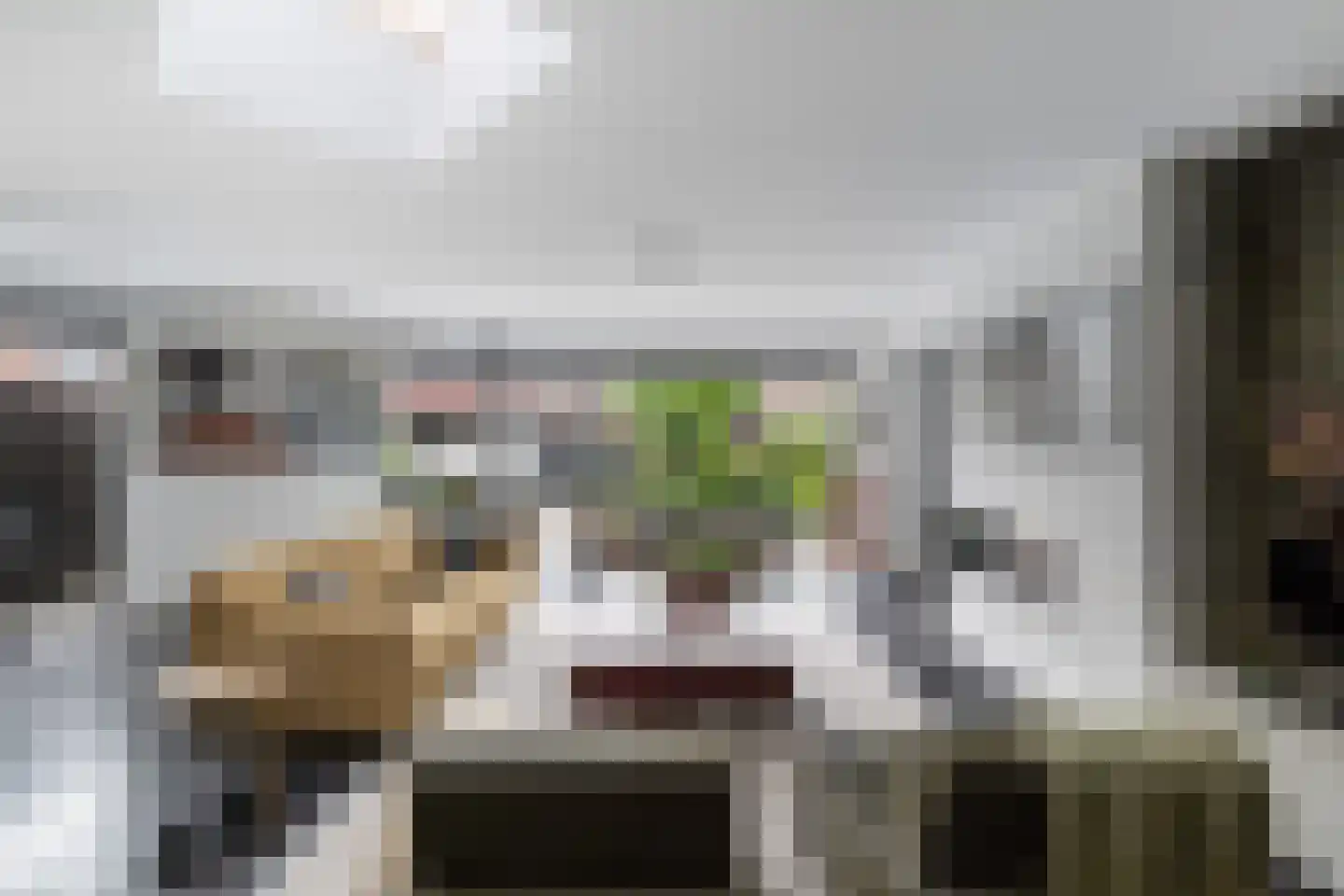 Steenbokstraat 7 Hazerswoude-Rijndijk thumbnail 25
