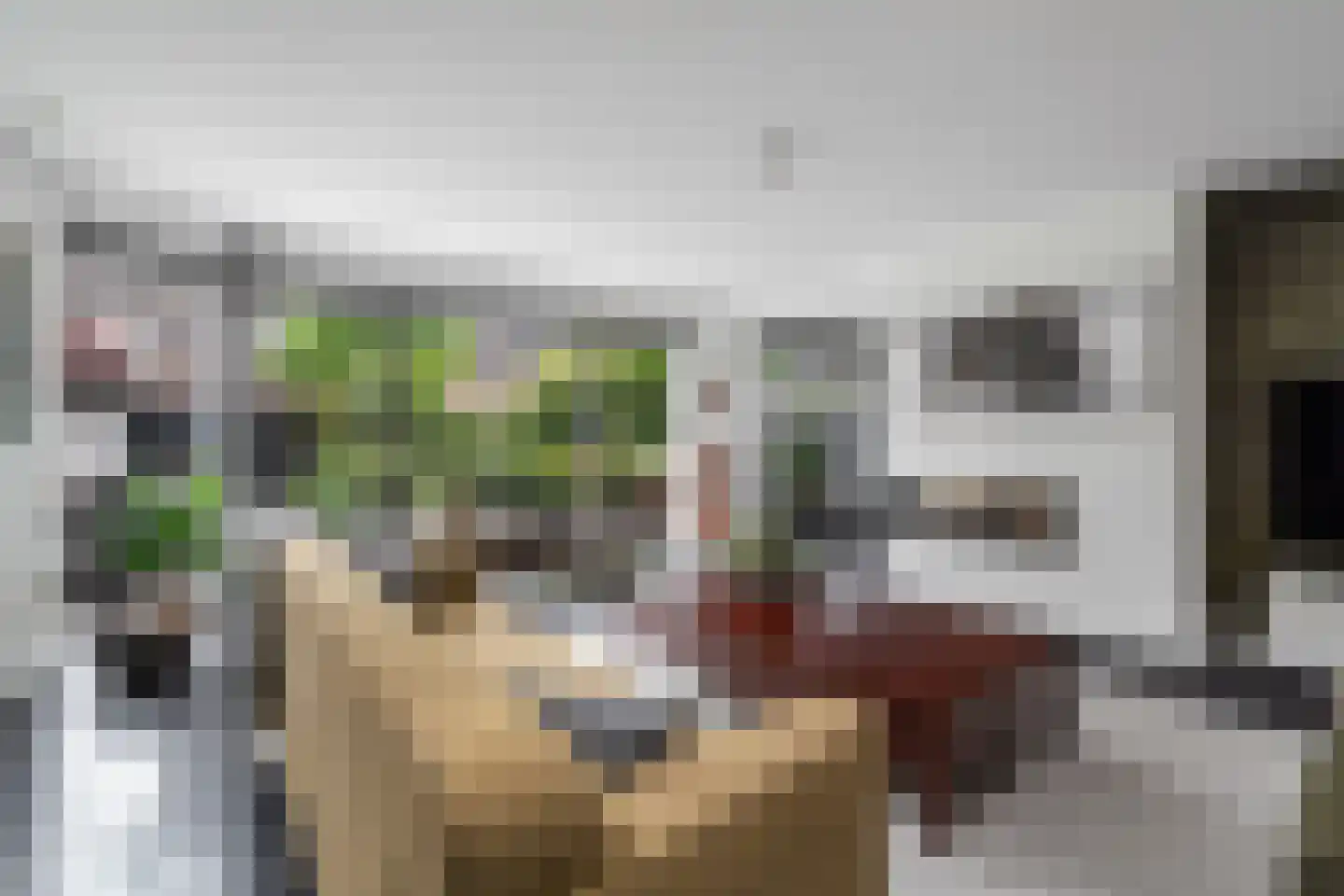 Steenbokstraat 7 Hazerswoude-Rijndijk thumbnail 26