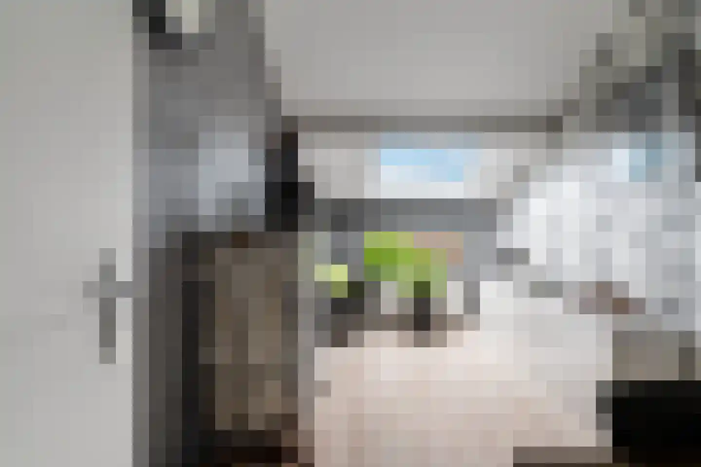 Steenbokstraat 7 Hazerswoude-Rijndijk thumbnail 33
