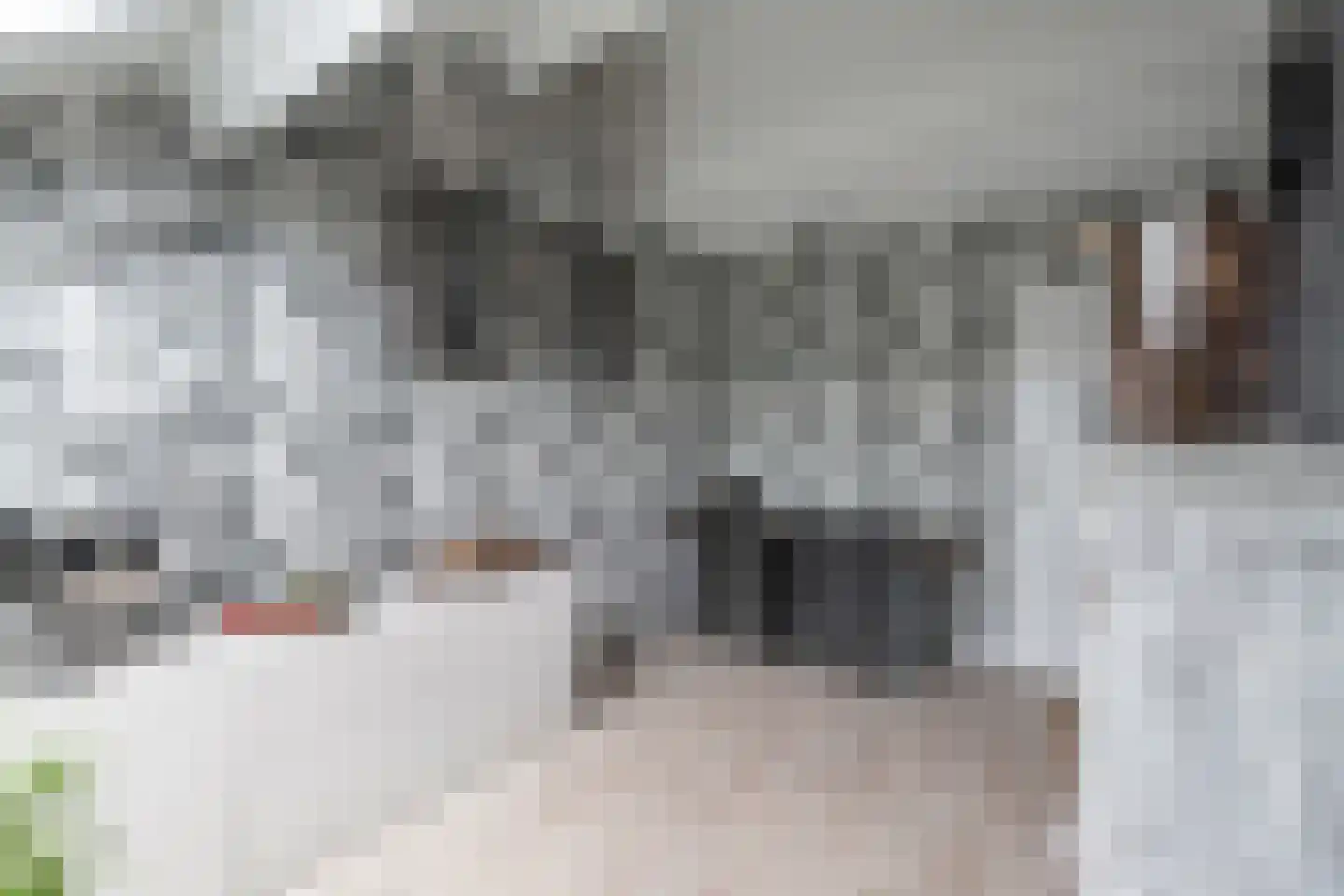Steenbokstraat 7 Hazerswoude-Rijndijk thumbnail 34