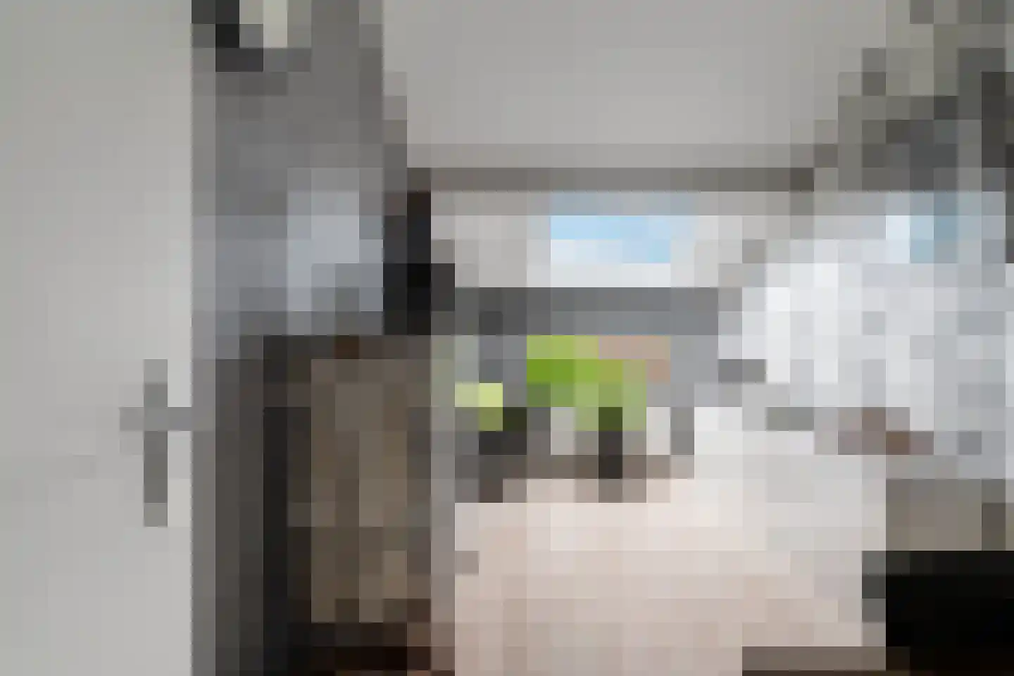 Steenbokstraat 7 Hazerswoude-Rijndijk thumbnail 43