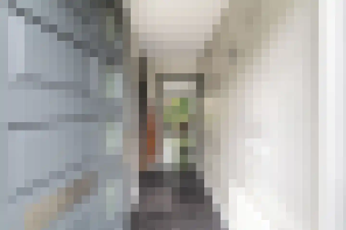 Steenbokstraat 7 Hazerswoude-Rijndijk thumbnail 8