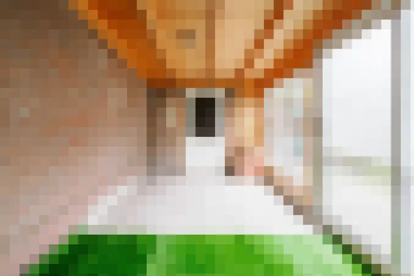 Steenbokstraat 70 Hengelo thumbnail 18