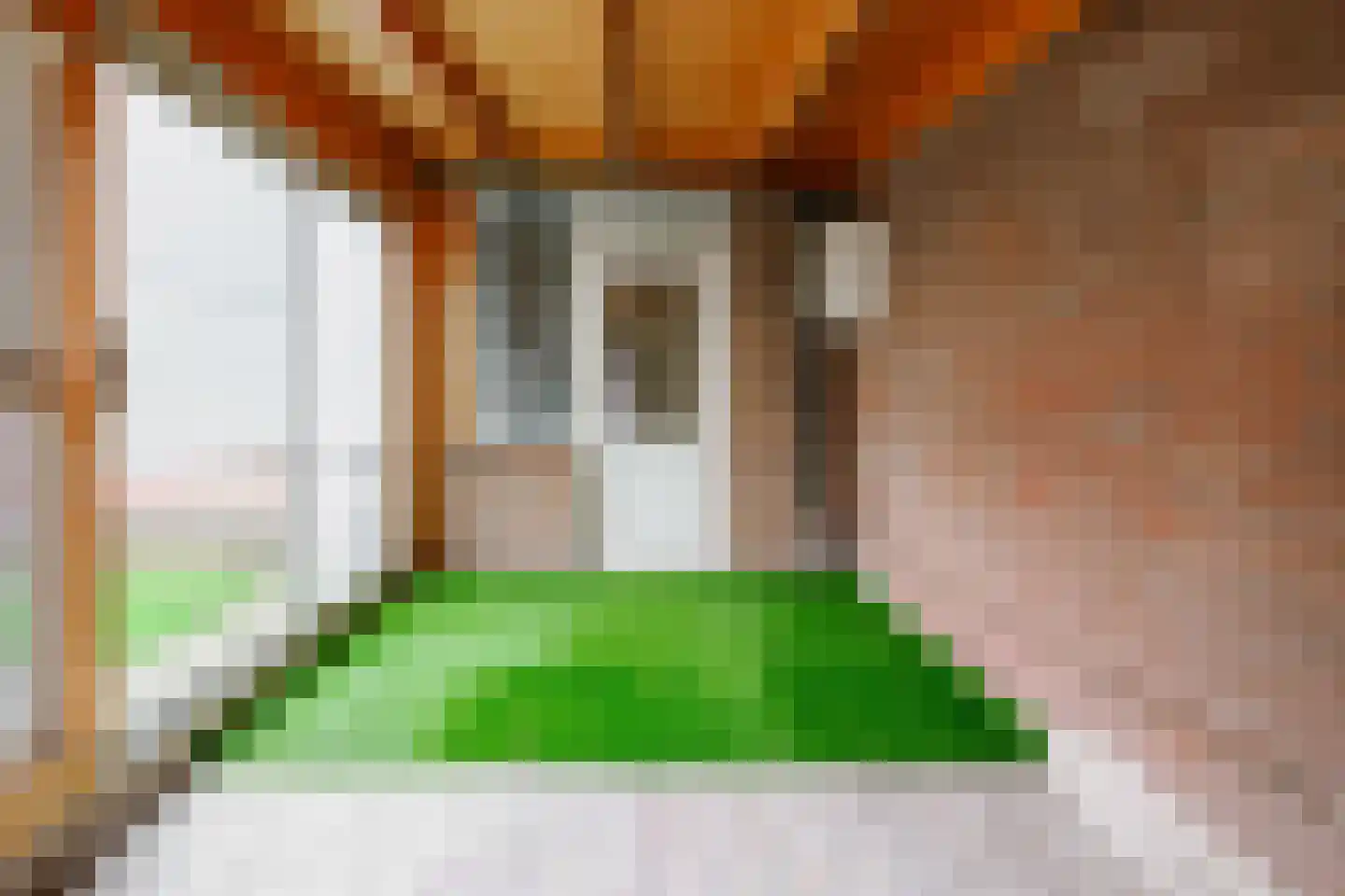 Steenbokstraat 70 Hengelo thumbnail 19