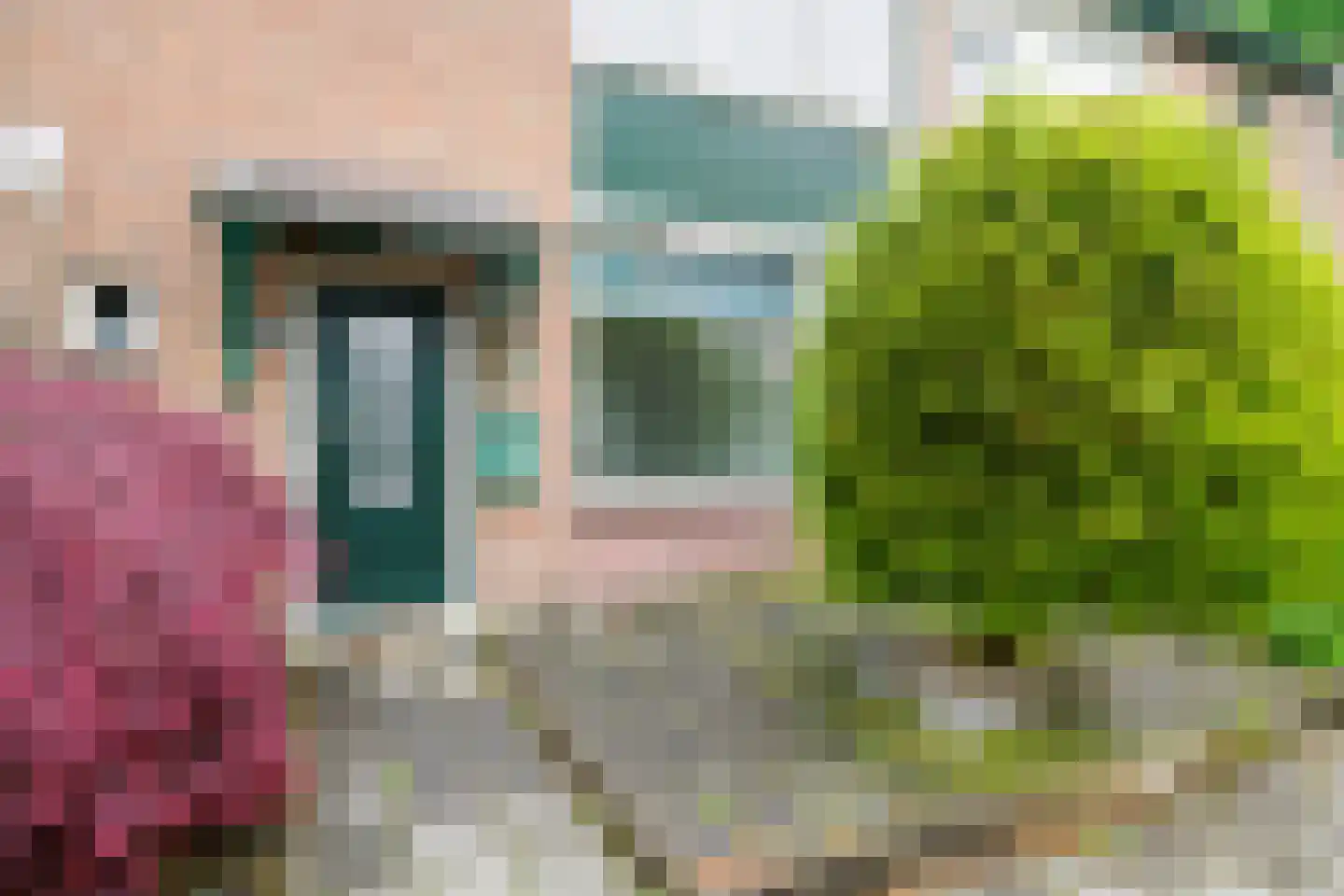 Steenbokstraat 70 Hengelo thumbnail 41