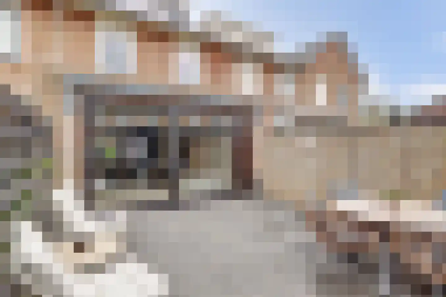 Steenbokstraat 8 Culemborg thumbnail 32