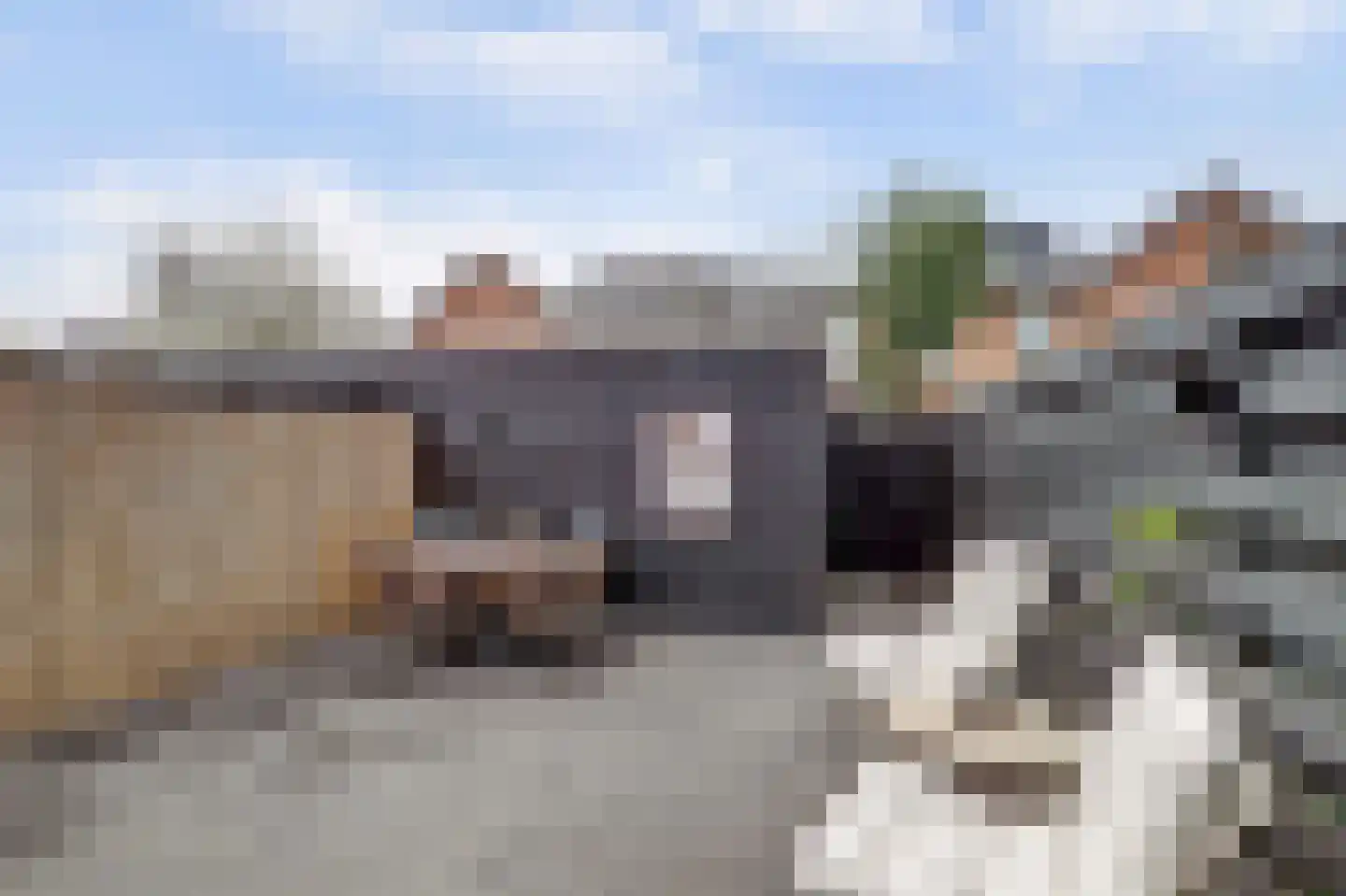 Steenbokstraat 8 Culemborg thumbnail 33