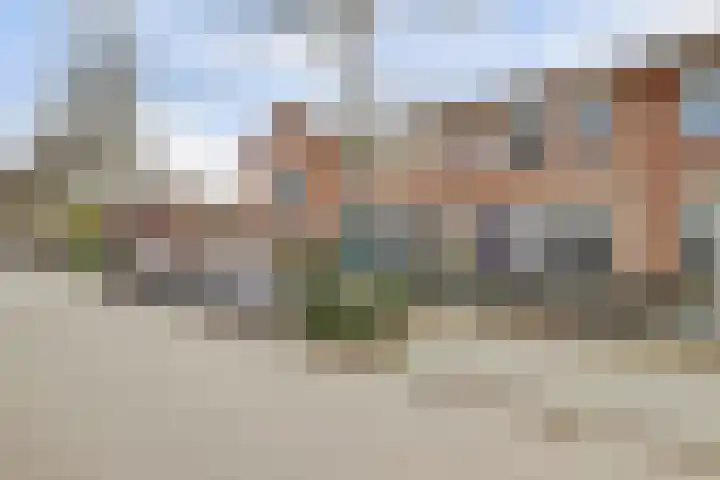 Steenbokstraat 8 Culemborg thumbnail 37