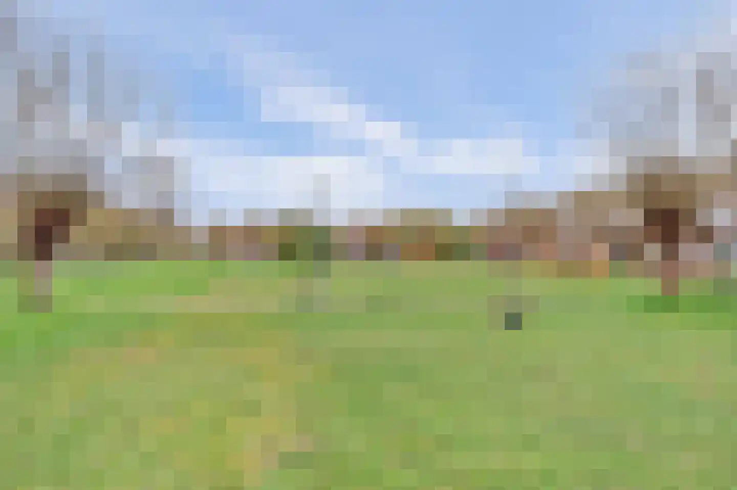Steenbokstraat 8 Culemborg thumbnail 38