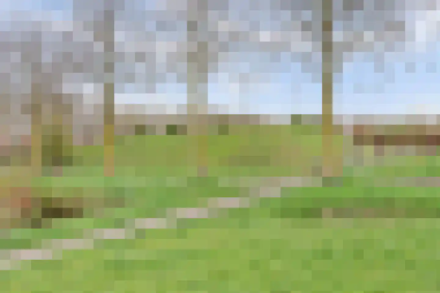 Steenbokstraat 8 Culemborg thumbnail 39