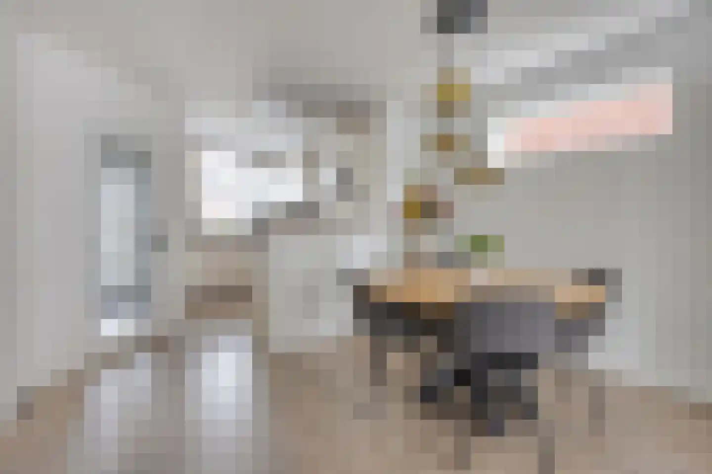 Steenbokstraat 9 Hazerswoude-Rijndijk thumbnail 8