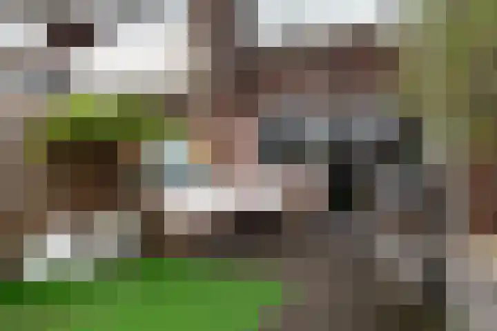 Steenbokweide 10 Nieuwegein thumbnail 13
