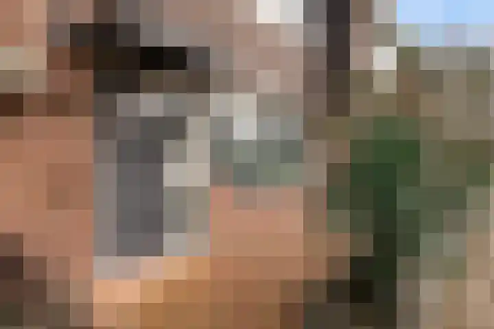 Steenbokweide 10 Nieuwegein thumbnail 26