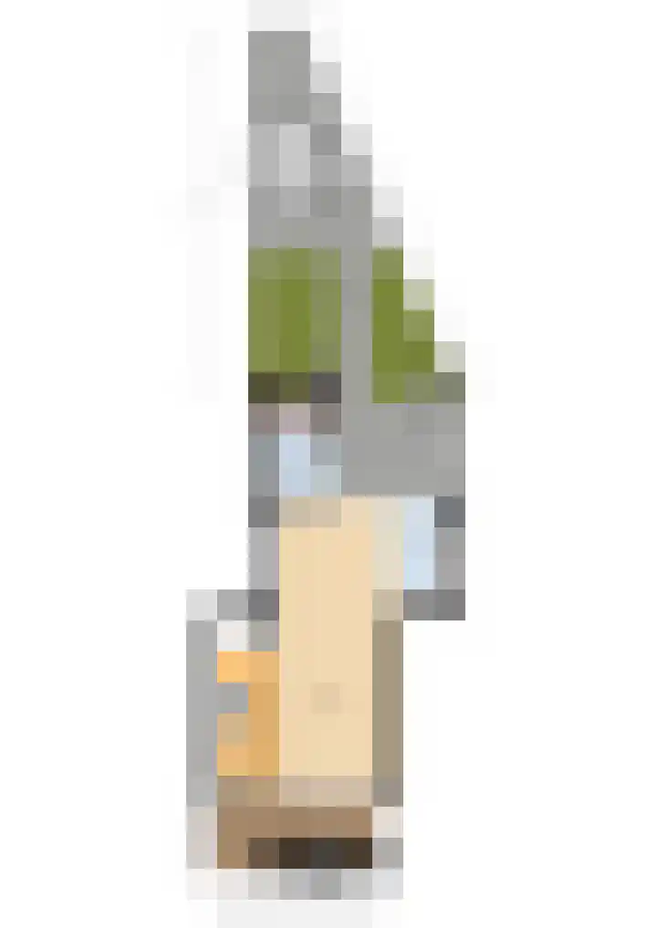 Steenbokweide 10 Nieuwegein thumbnail 37