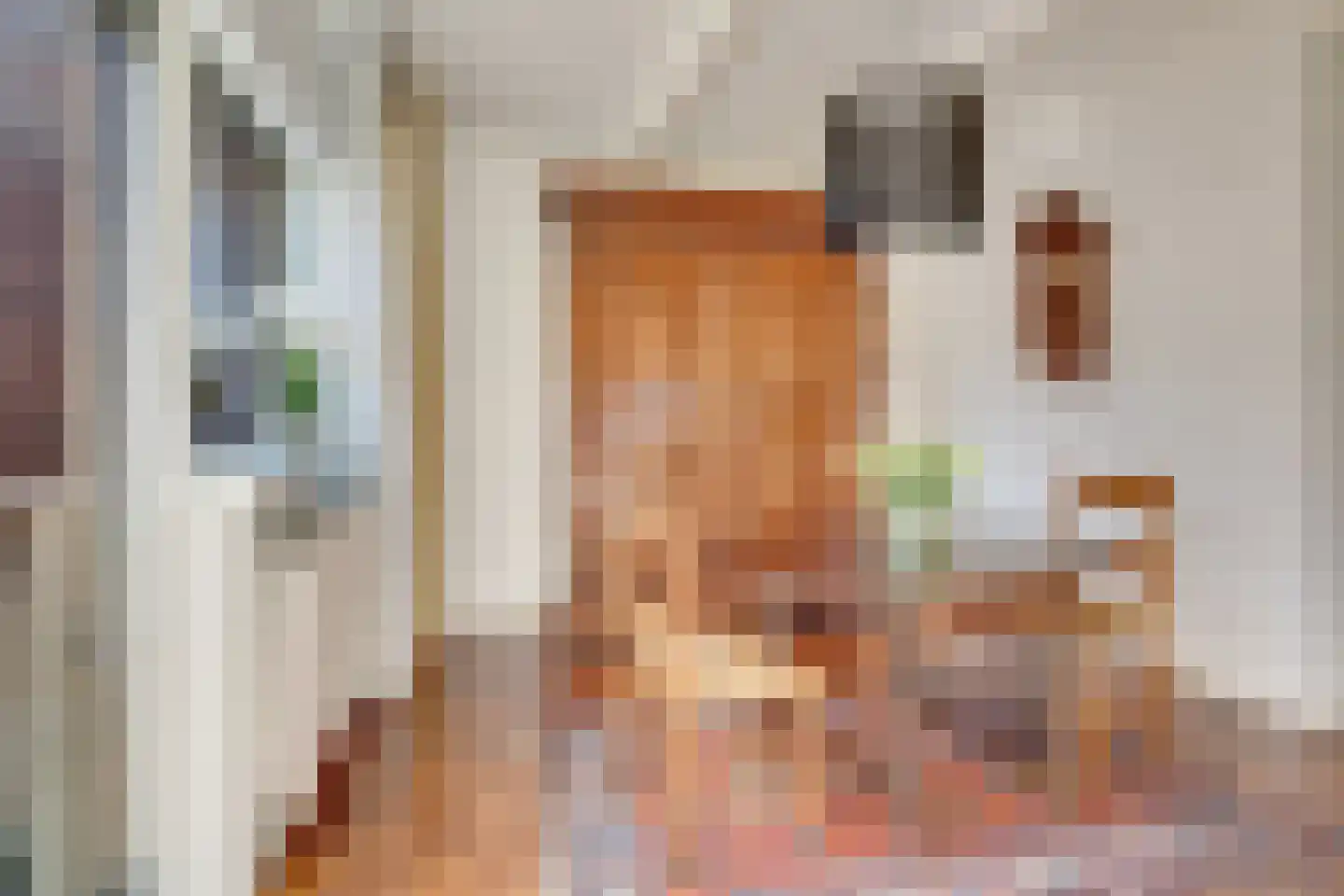 Steenbokweide 16 Nieuwegein thumbnail 12