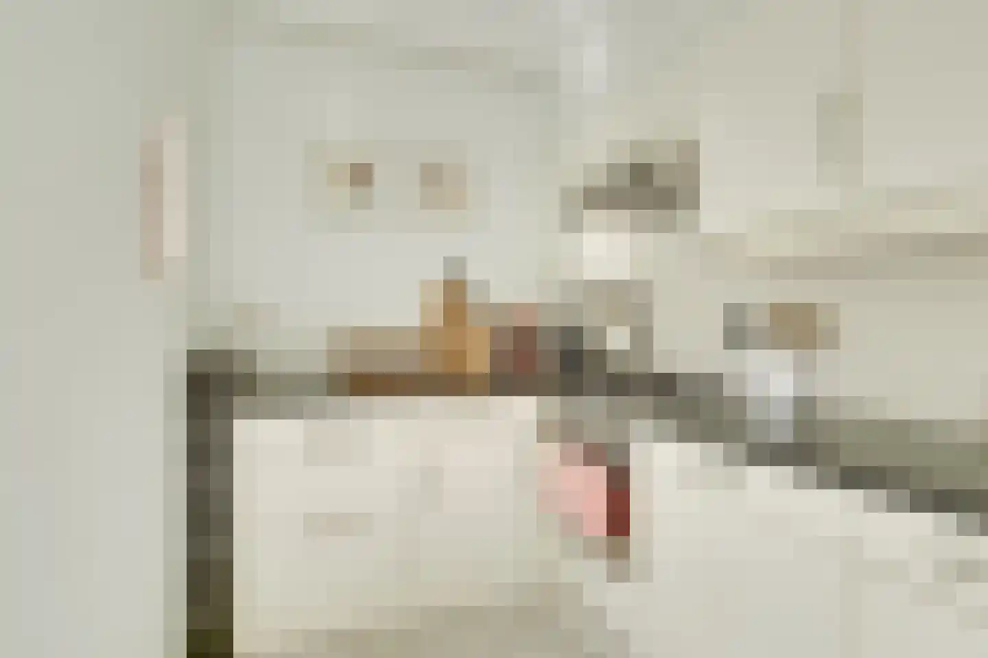 Steenbokweide 16 Nieuwegein thumbnail 15