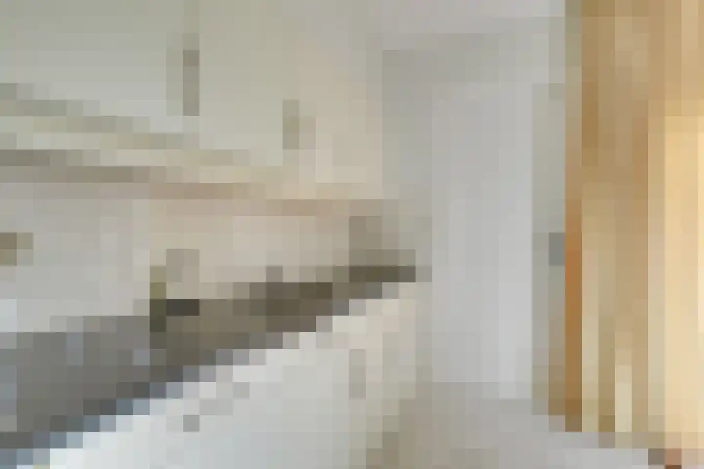 Steenbokweide 16 Nieuwegein thumbnail 17