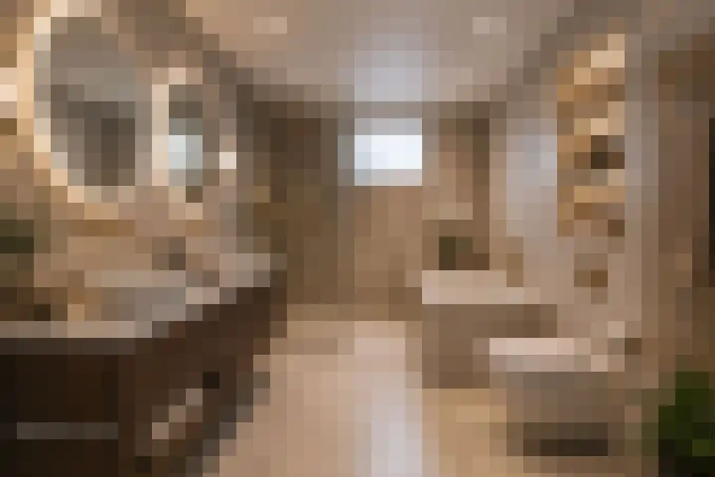 Steenbokweide 16 Nieuwegein thumbnail 32