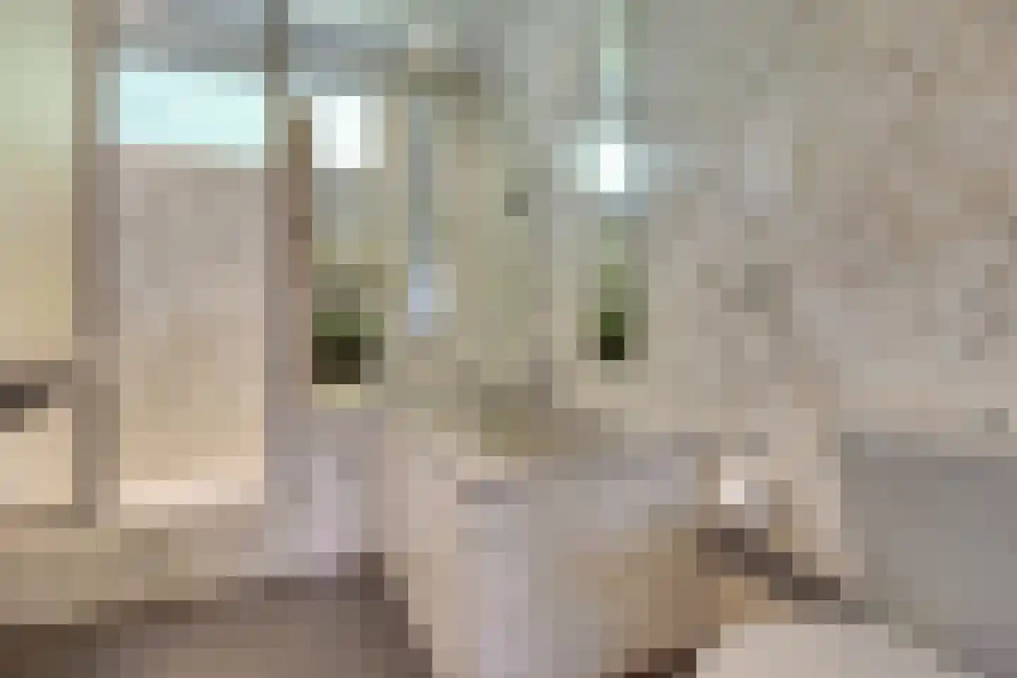 Steenbokweide 16 Nieuwegein thumbnail 35