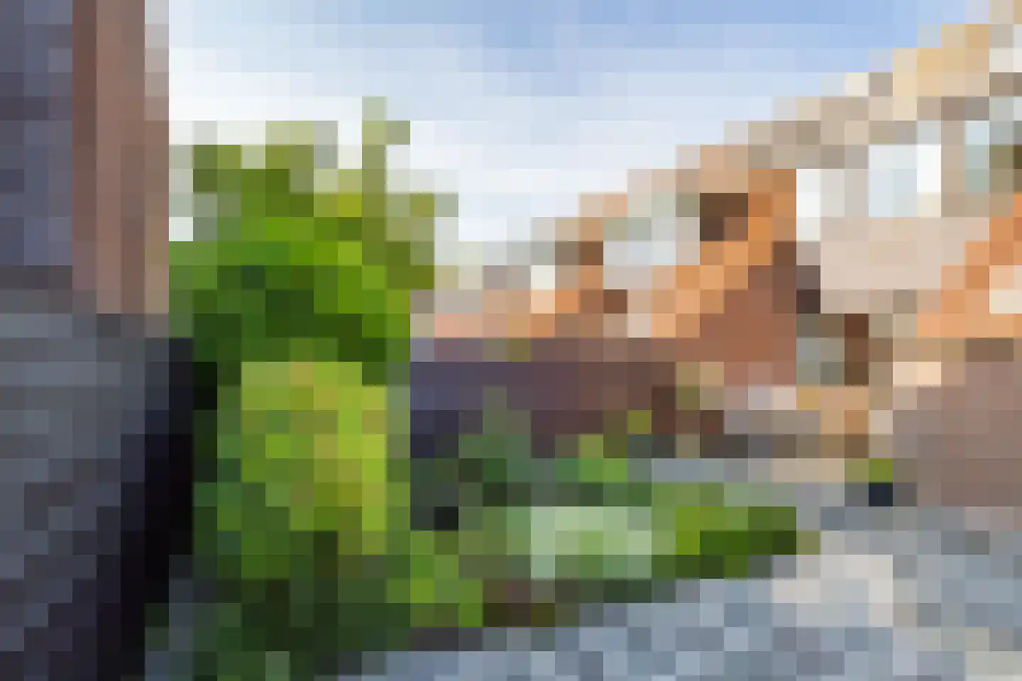 Steenbokweide 16 Nieuwegein thumbnail 43