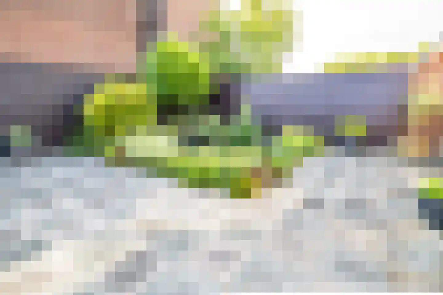 Steenbokweide 16 Nieuwegein thumbnail 44