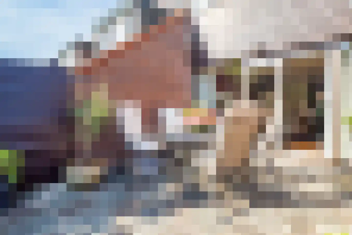 Steenbokweide 16 Nieuwegein thumbnail 45