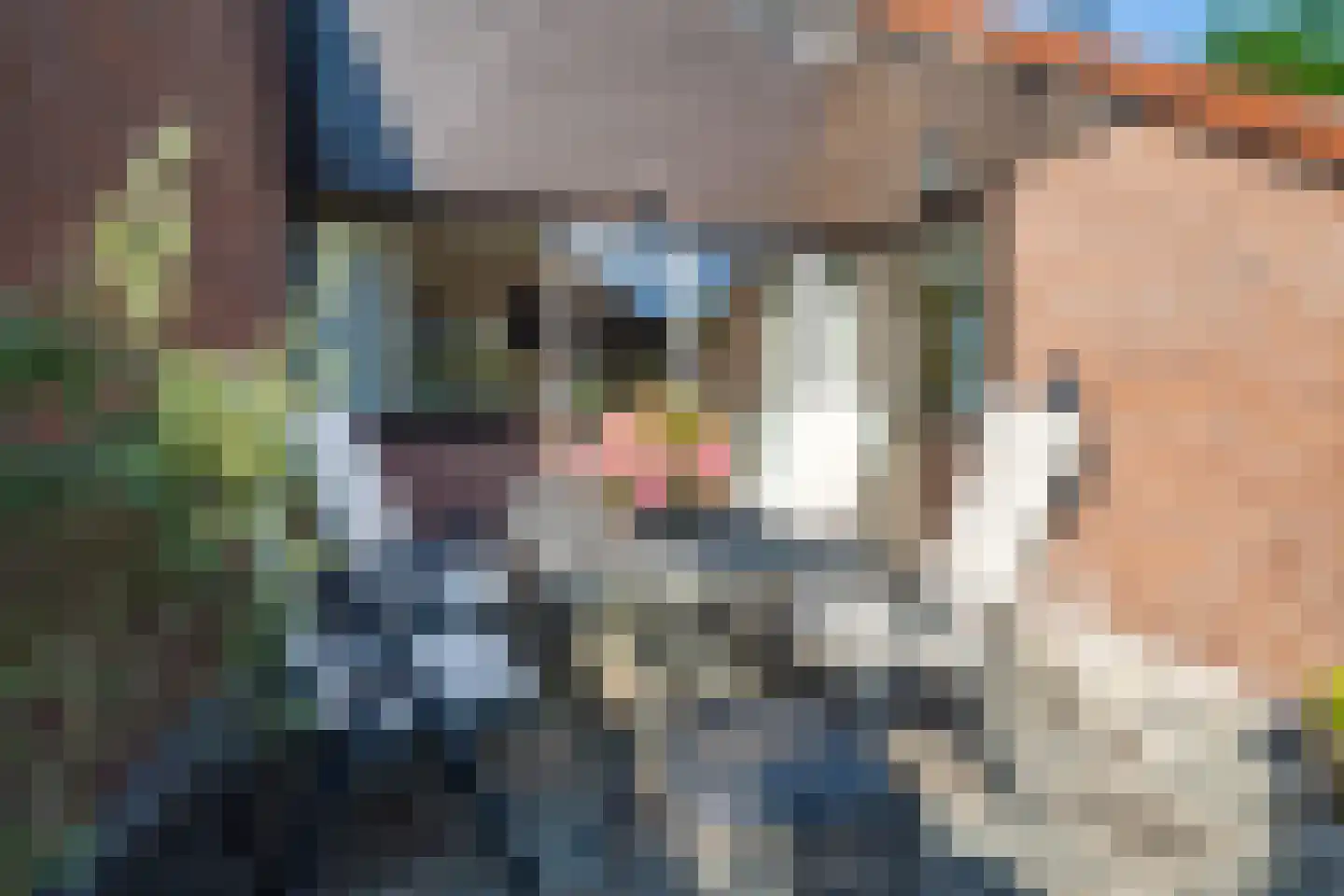 Steenbokweide 16 Nieuwegein thumbnail 46