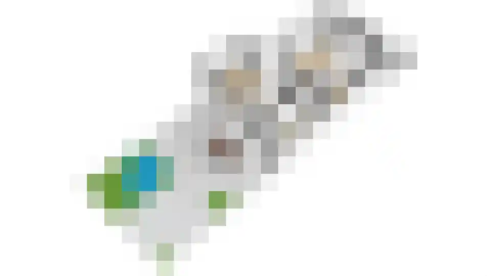 Steenbokweide 16 Nieuwegein thumbnail 62