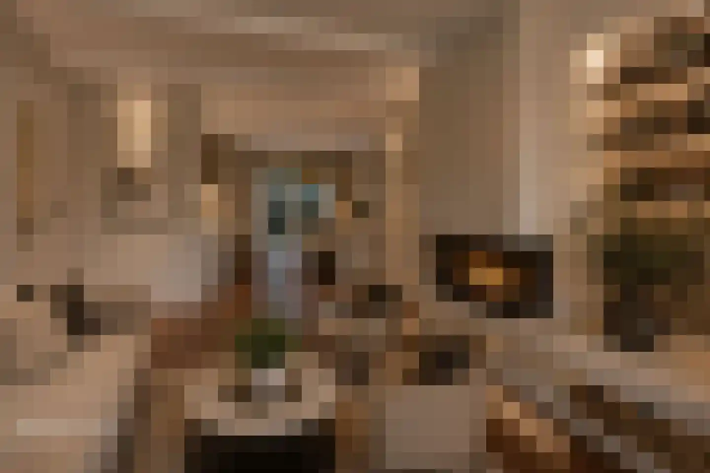 Steenbokweide 16 Nieuwegein thumbnail 8