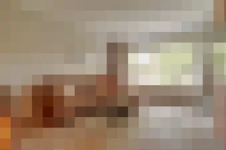 Steenbokweide 9 Nieuwegein thumbnail 13