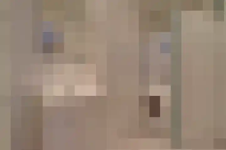Steenbokweide 9 Nieuwegein thumbnail 22