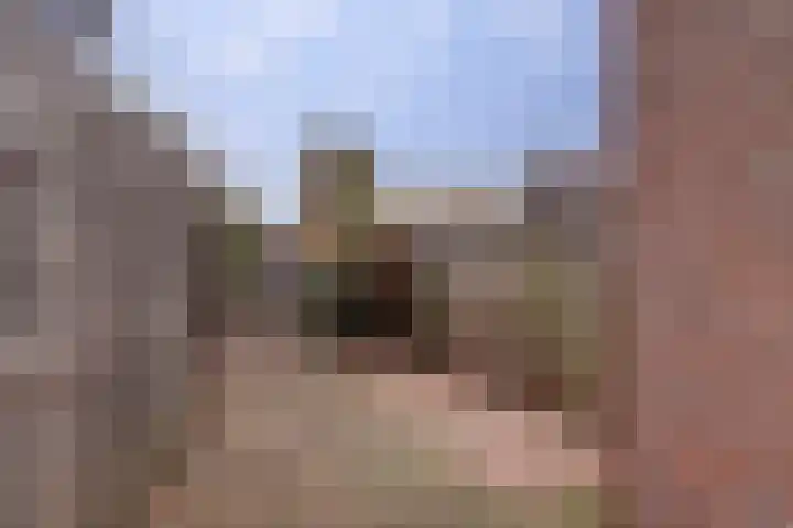 Steenbokweide 9 Nieuwegein thumbnail 25